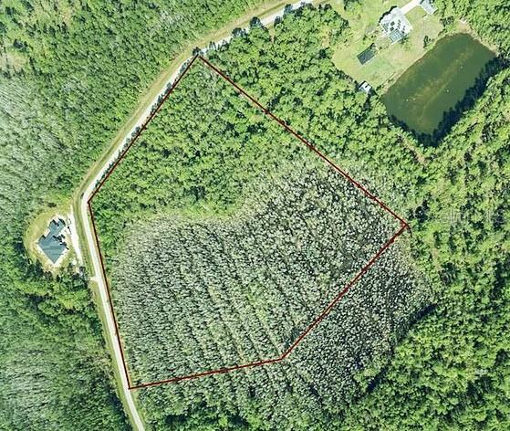 GRAND CYPRESS TURF CLUB PH 01