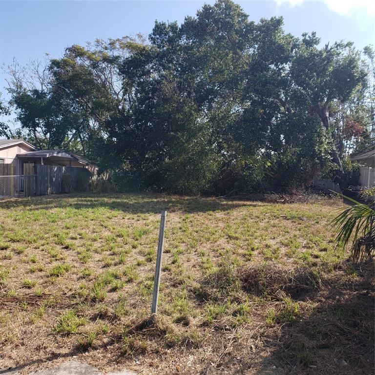 DIXIE PARK - фото