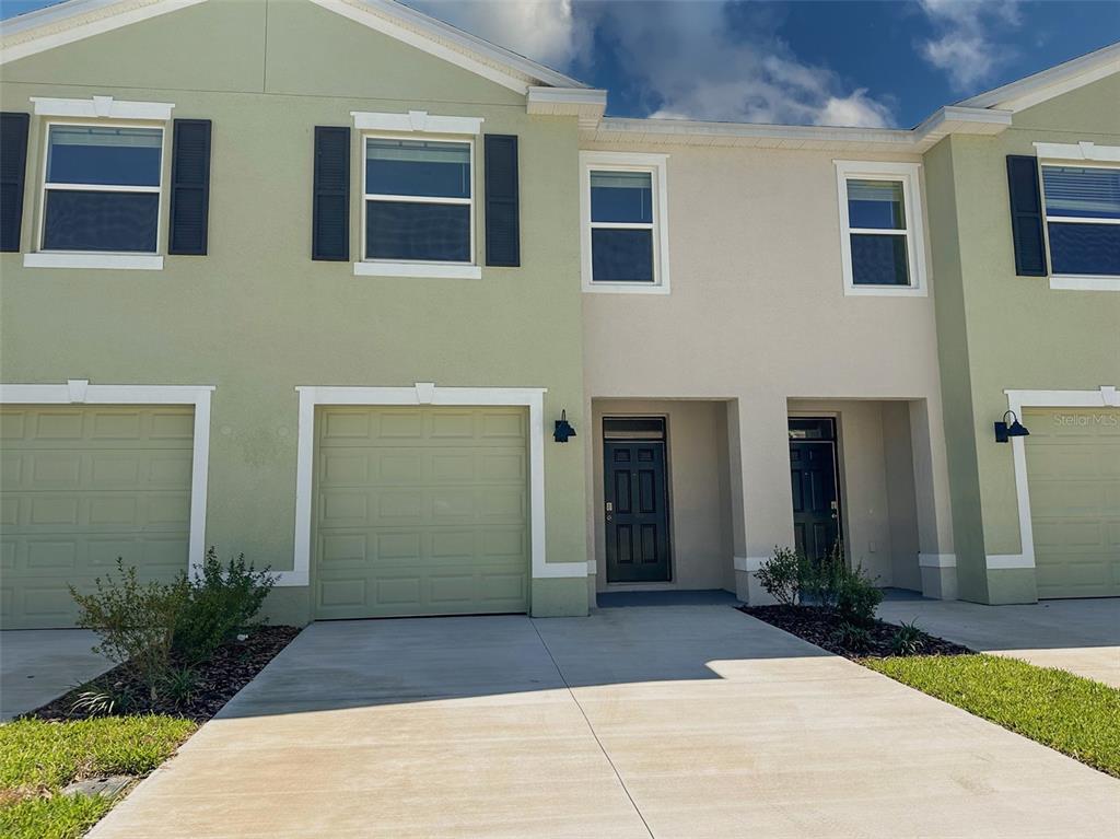 ANGELINE PH 3B-1 - фото