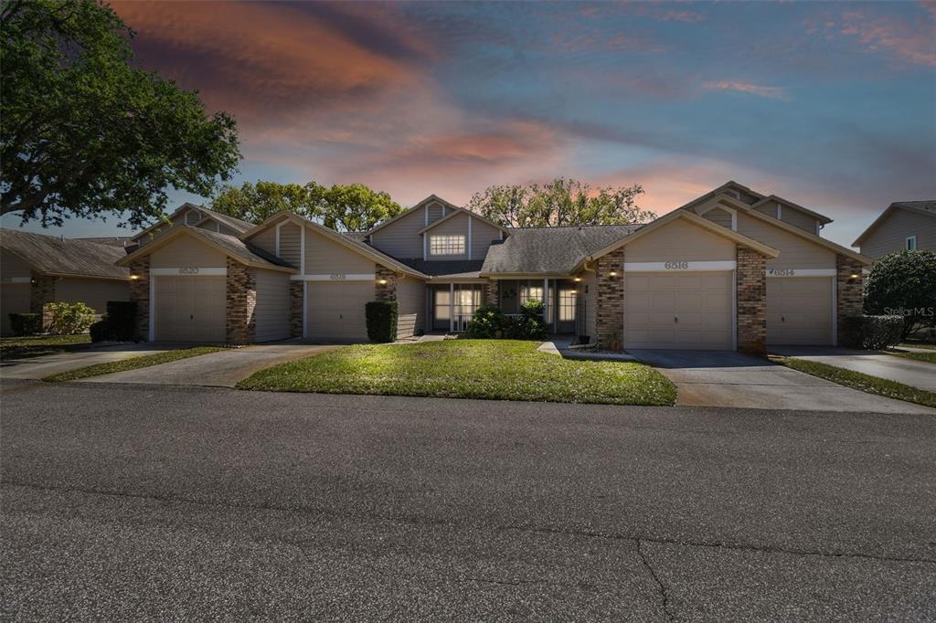 BRIAR PATCH - фото