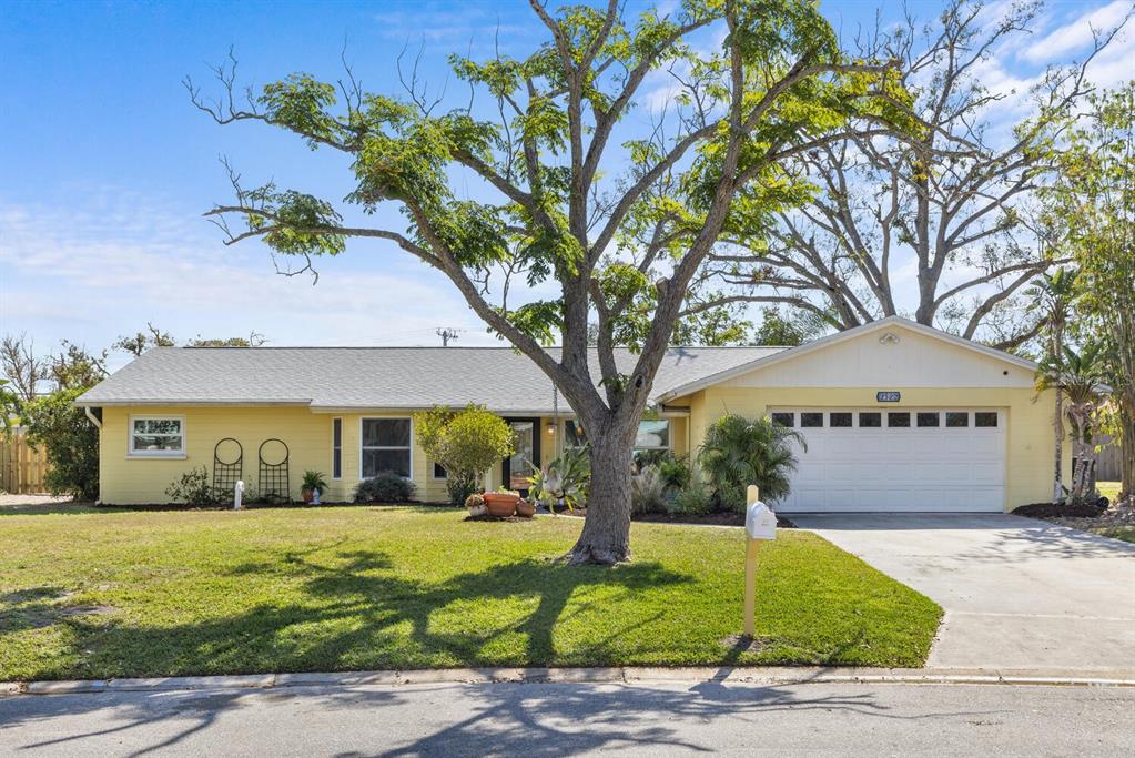 SOUTH GATE - фото