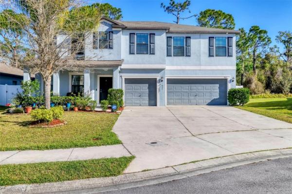 OLD MILL PRESERVE PH II