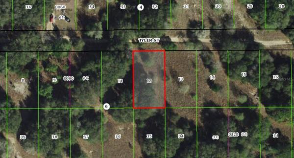 INVERNESS ACRES UNIT 02 AKA INVERNESS VILLAGE