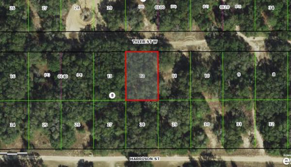 INVERNESS ACRES UNIT 01 AKA INVERNESS VILLAGE