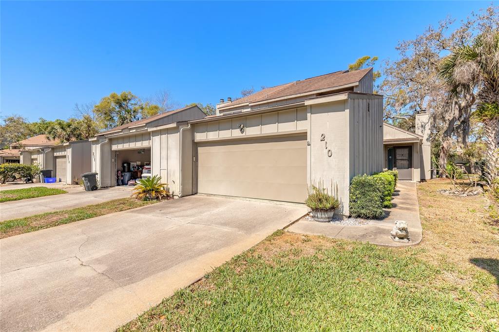 AUTUMN WOOD REV - фото