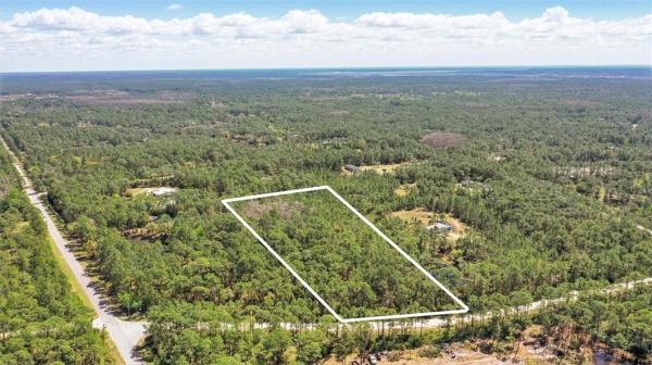 LAKE HARNEY WOODS PH 02