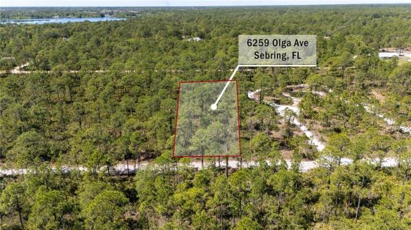 ORANGE BLOSSOM ESTATE