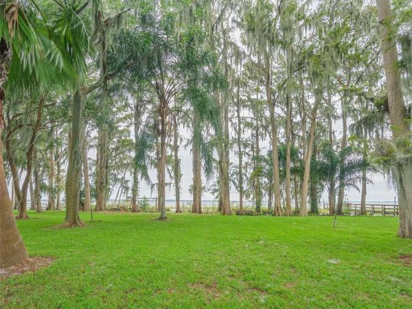 EUSTIS TROPICAL SHORE