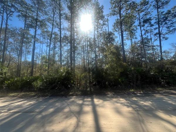 INTERLACHEN LAKES ESTATES