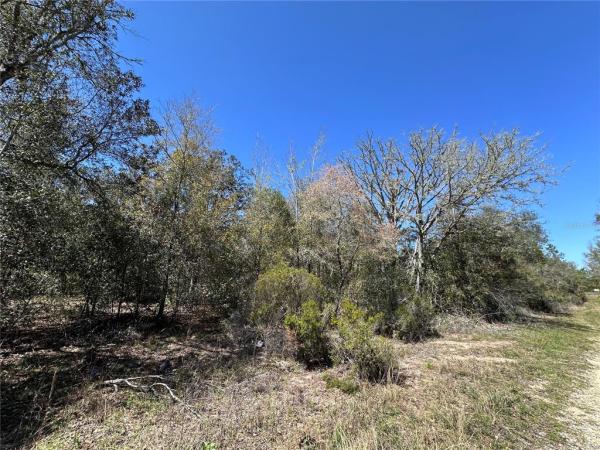 OAK RIDGE ESTATES UNIT 1