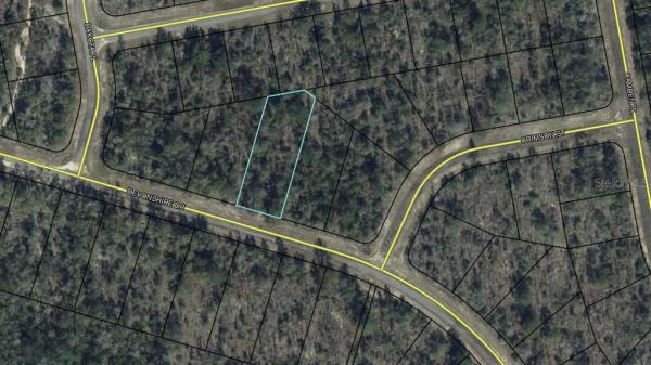 SUNNY HILLS UNIT 8