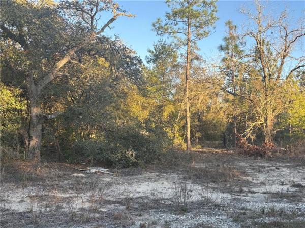 RAINBOW LAKES ESTATE