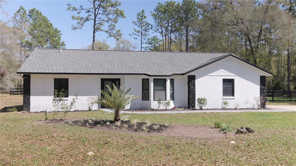 FINISH LINE - фото