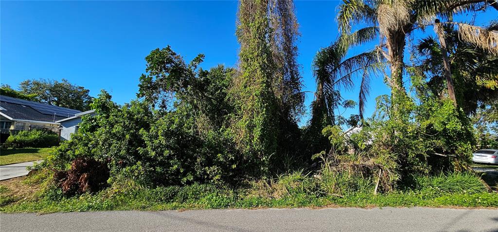 NORTH VAMO SUB 1 - фото