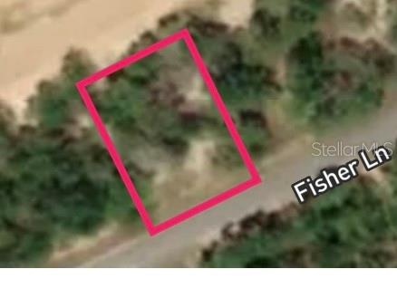 SILVER SPRINGS SHORES