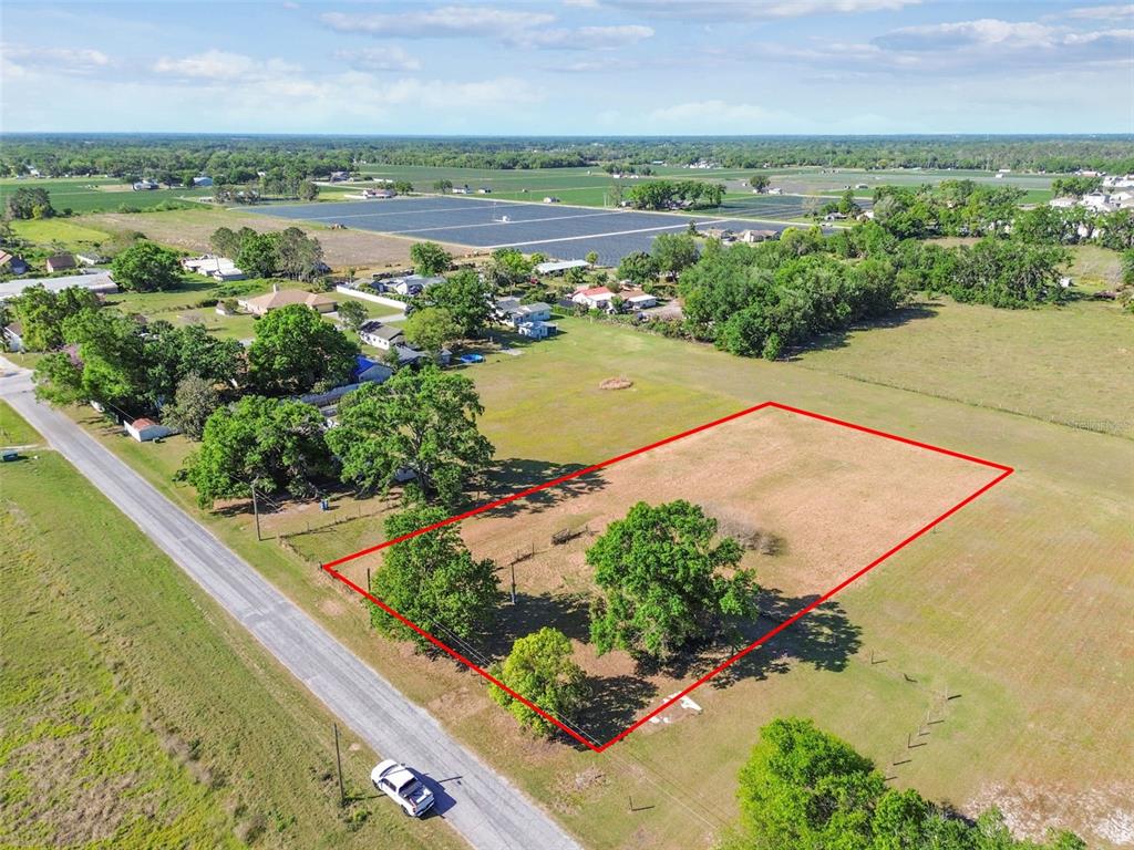 PSALM FORTY SIX TEN ESTATES - фото