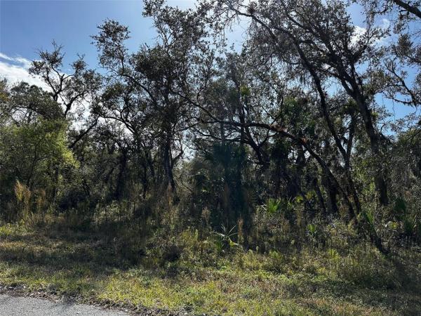 PORT CHARLOTTE SUB 30