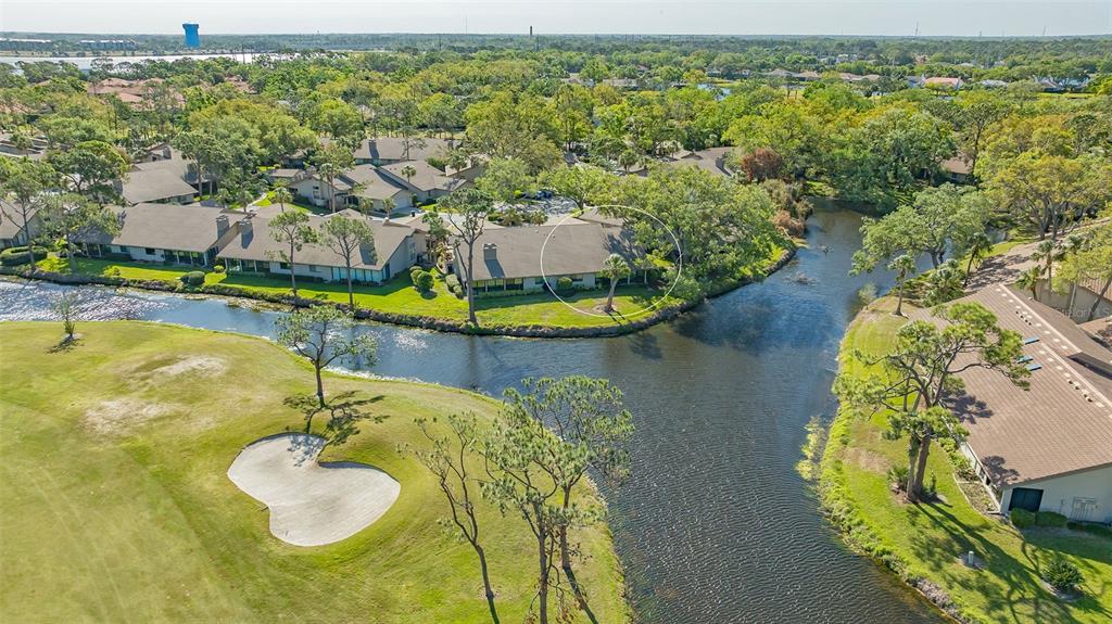 PIPERS WAITE - THE MEADOWS - фото