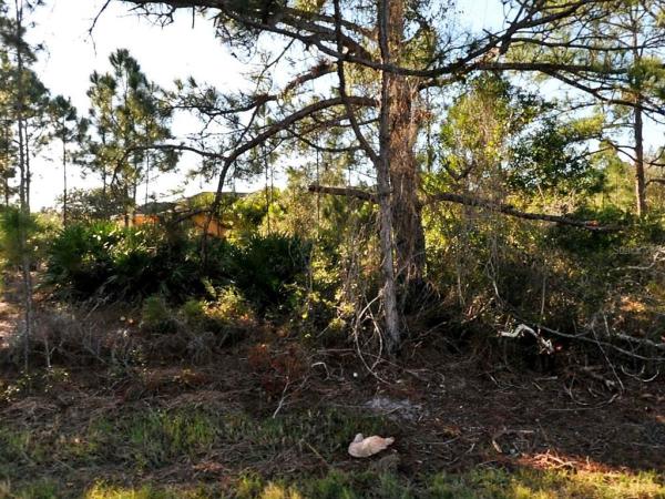 PORT CHARLOTTE SUB 26