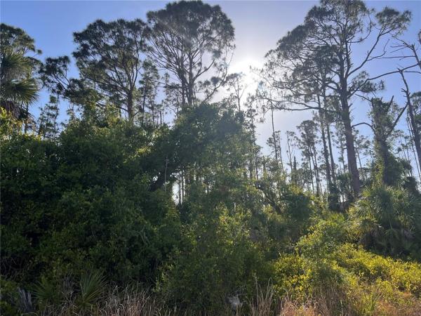 PORT CHARLOTTE SUB 34