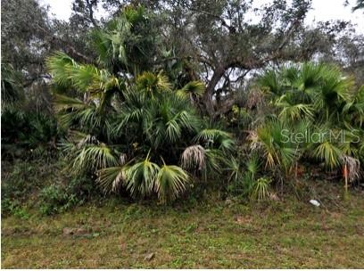 PORT CHARLOTTE SUB 29