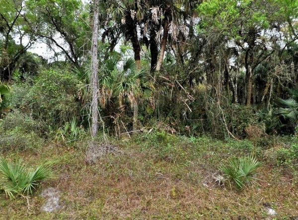 PORT CHARLOTTE SUB 29