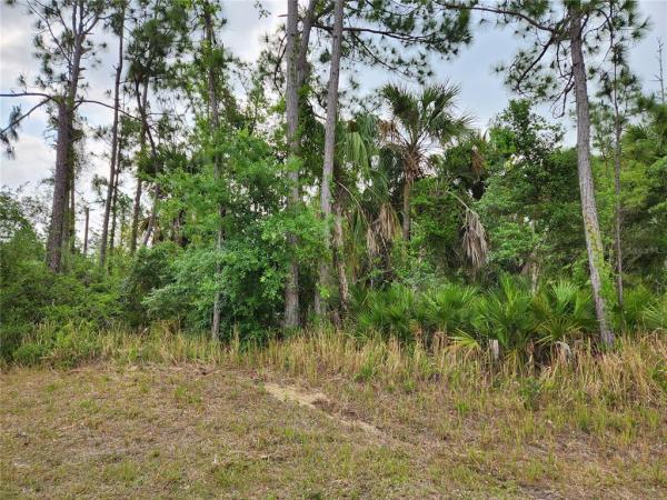 PORT CHARLOTTE SUB 34