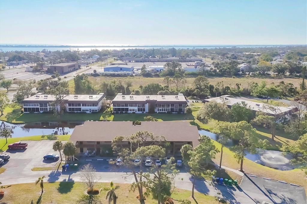 QUAILS RUN I - фото