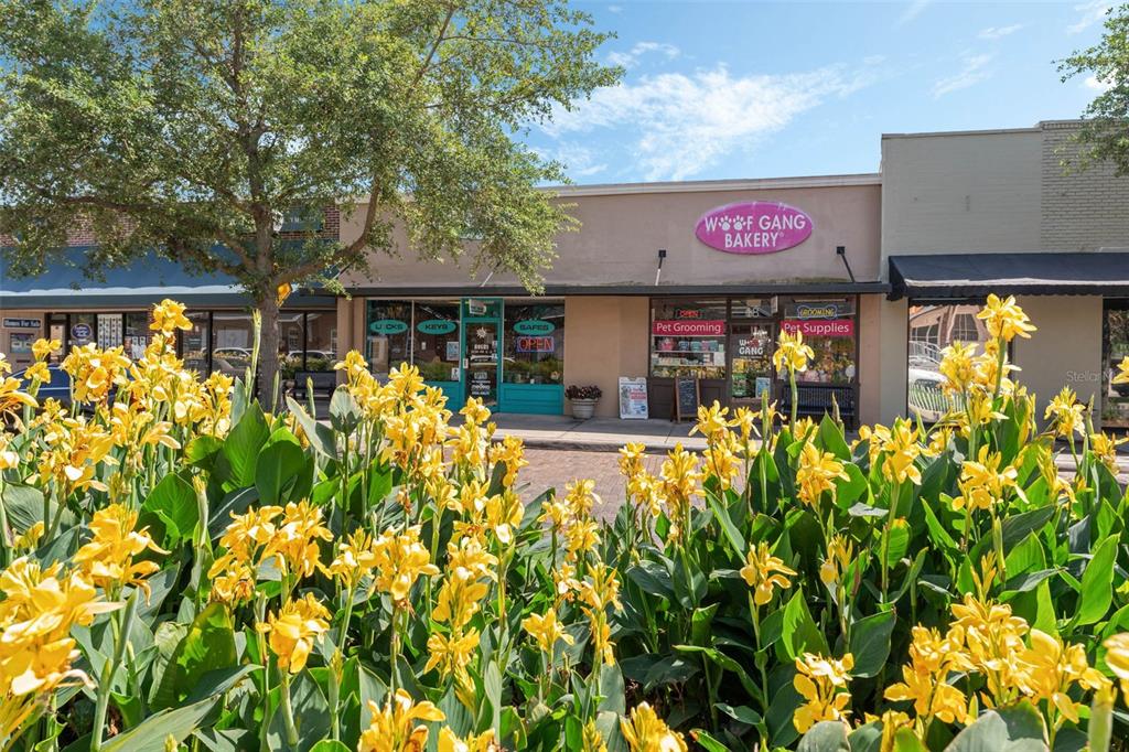 FRIES WINTER GARDEN - фото