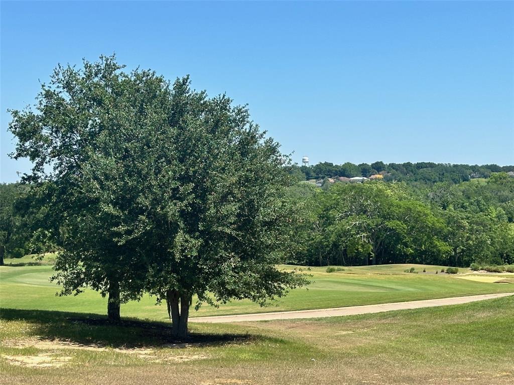 BELLA COLLINA WEST SUB - фото