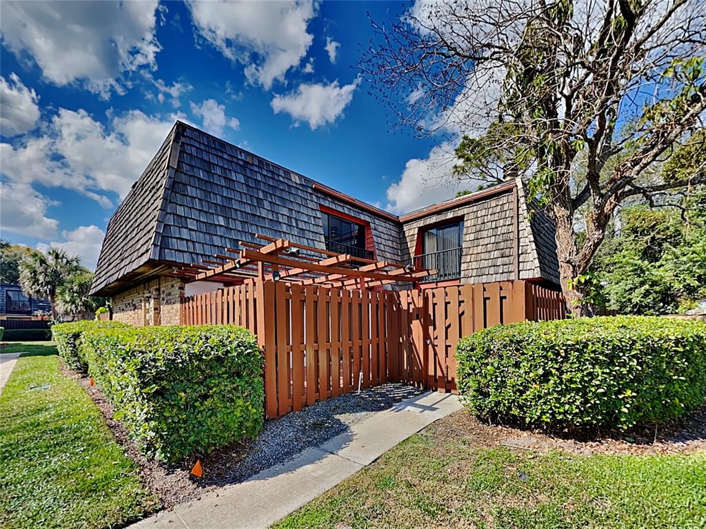 WINTER GREEN - фото