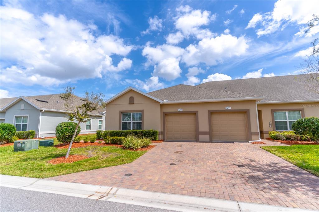 TRADITIONS PH 2A - фото