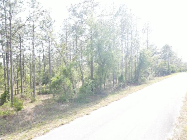 RAINBOW LAKES ESTATE