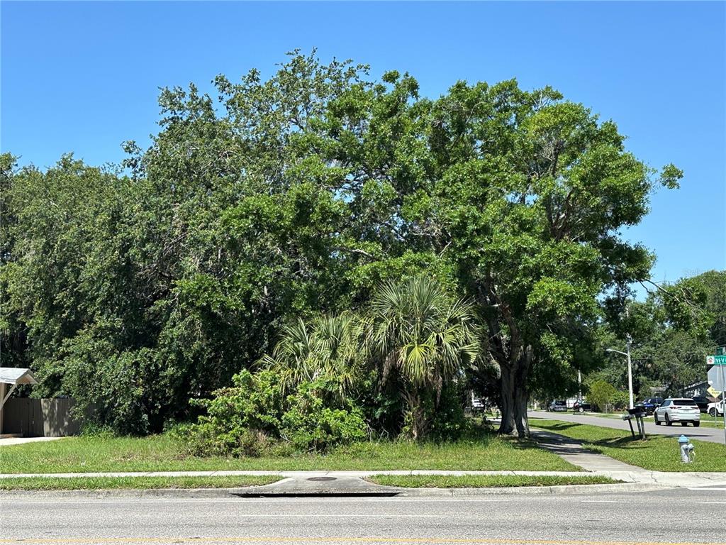 WASHINGTON PARK SEC 01 - фото