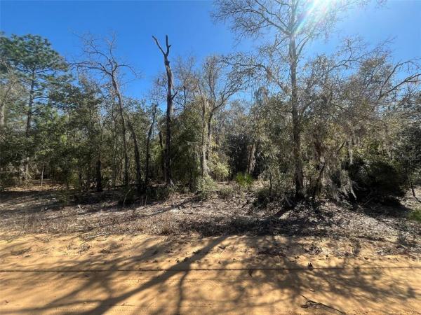 INTERLACHEN LAKES ESTATES