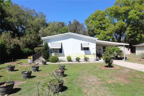 ORANGE BLOSSOM HILLS 16