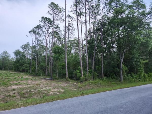 RAINBOW LAKES ESTATE