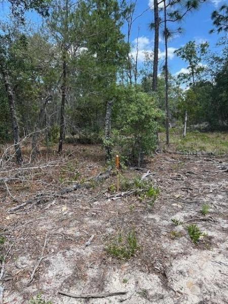 PARADISE VIEW ESTATES