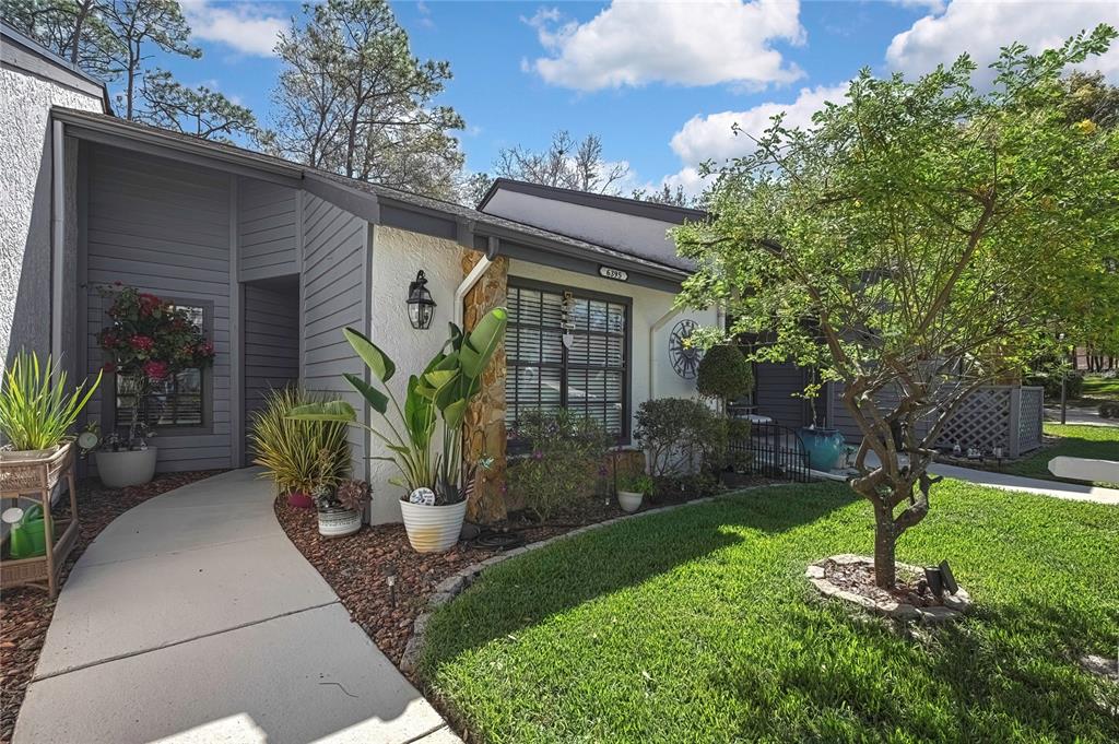 TMBR PINES PN GR VL - фото