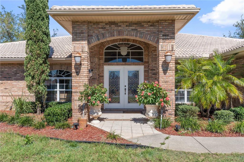 PINEWOOD - фотография PINEWOOD - фото