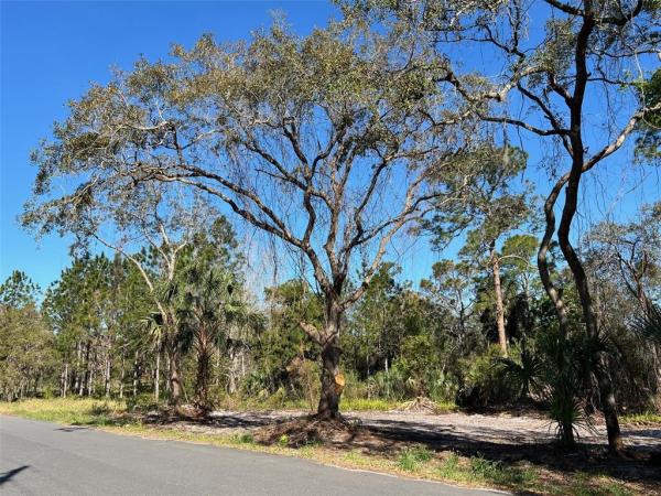 LAKE MACK-FOREST HILLS