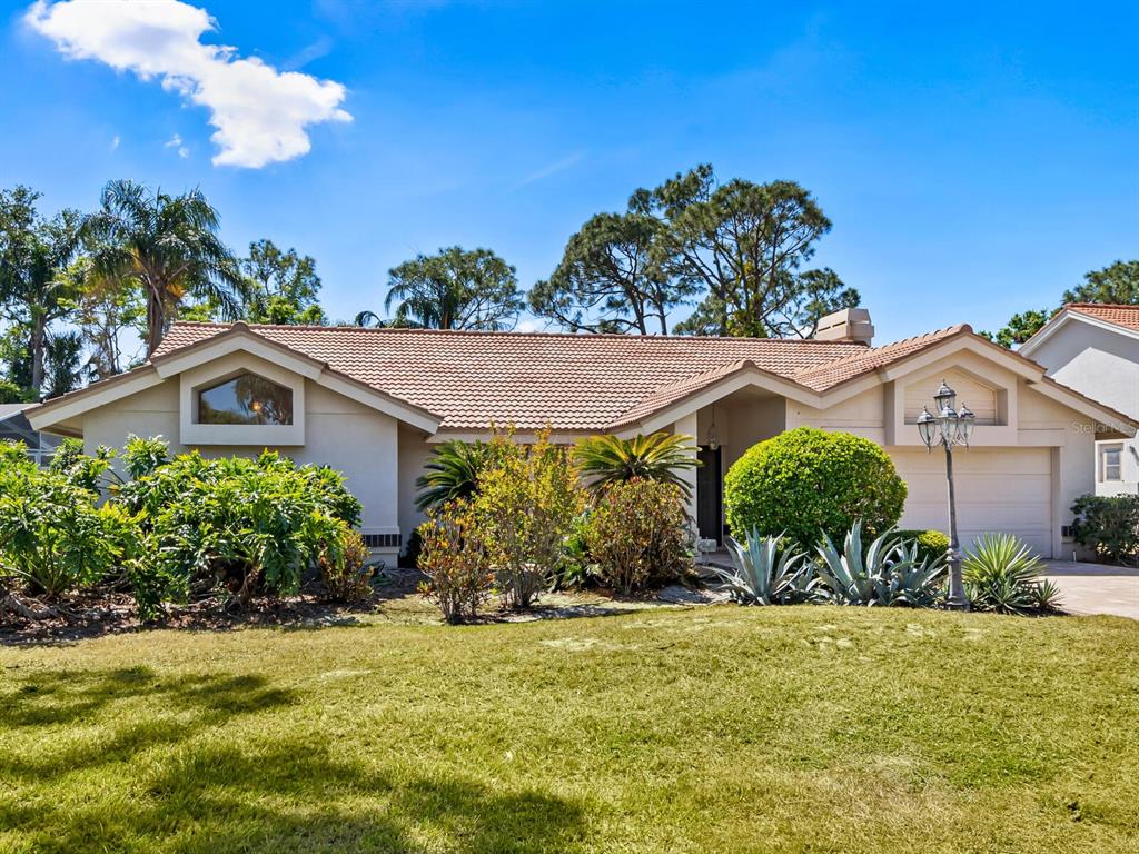 MEADOWS THE - фото