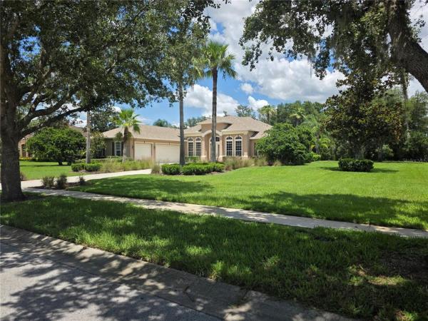 SANCTUARY ON LIVINGSTON