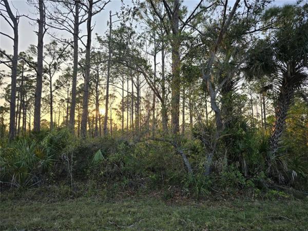 PORT CHARLOTTE SEC 061