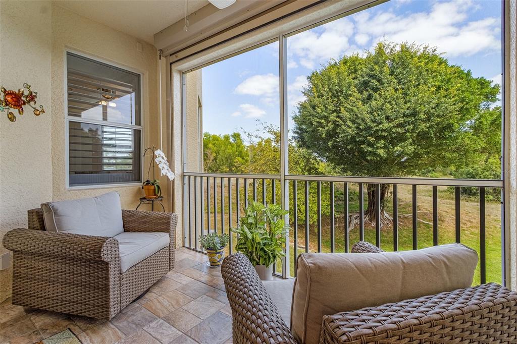 FAIRWAY VLS III/BANYAN TRACE - фото