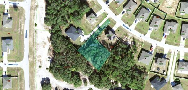 POINCIANA NBRHD 02 VILLAGE 08