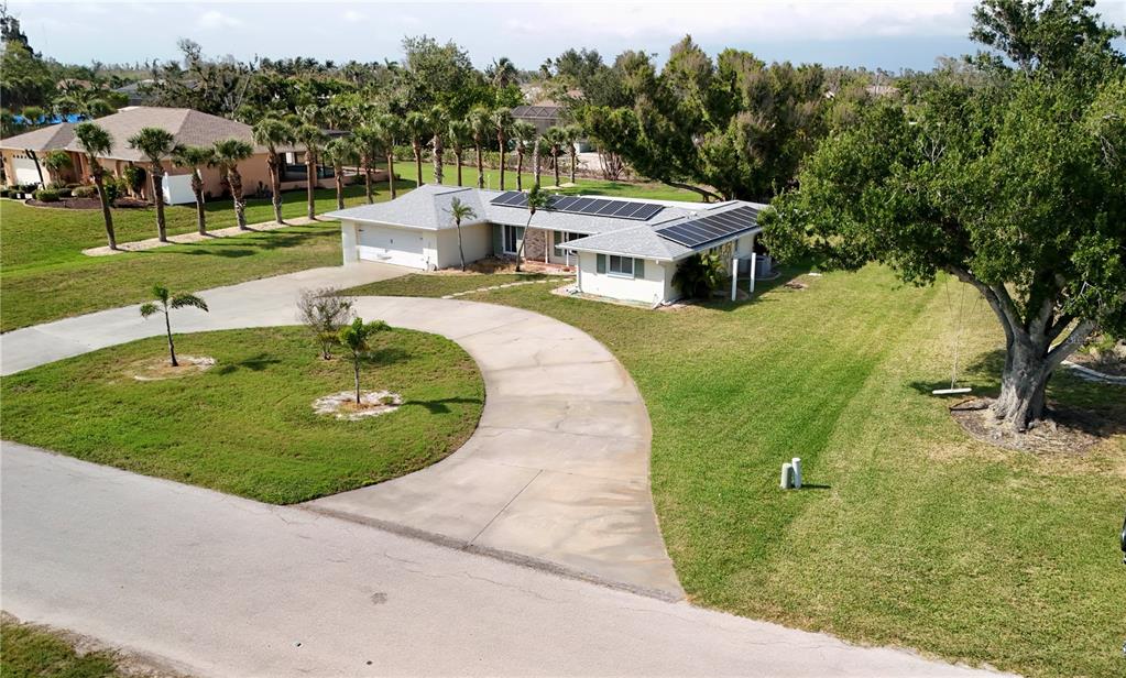 CAPE HAZE - фото