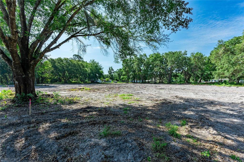 Land - фотография Land - фото