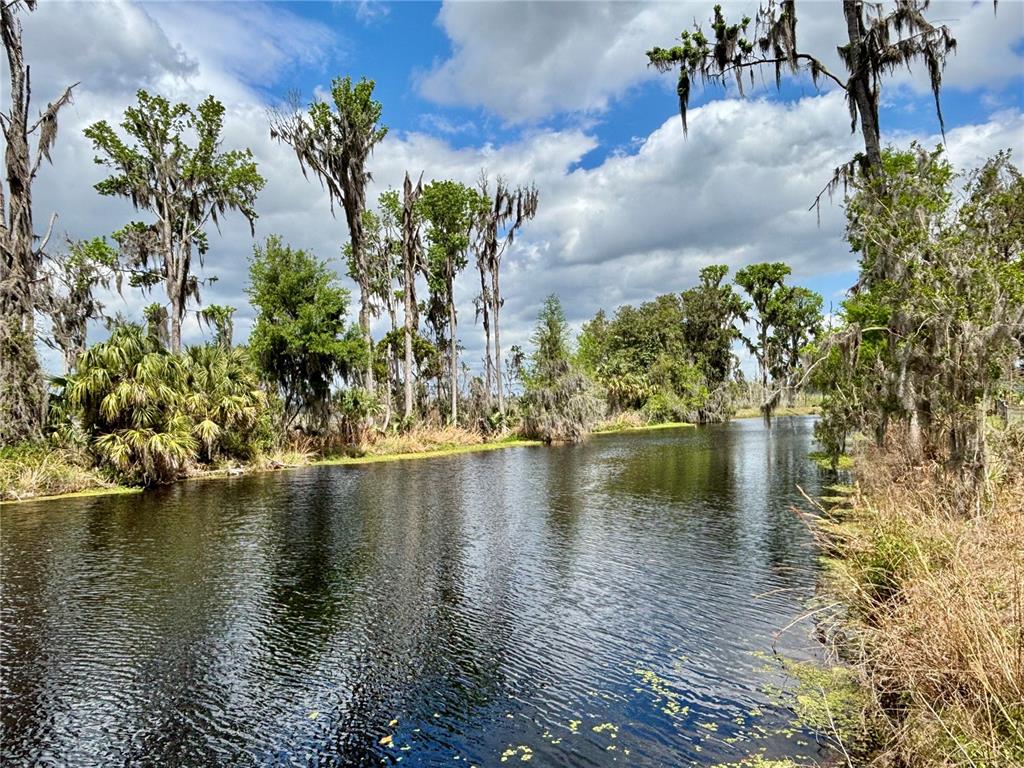 LITTLE ORANGE LAKE - фото