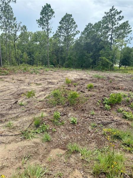 WILLISTON HYLNDS GOLF & C CLUB ESTATE